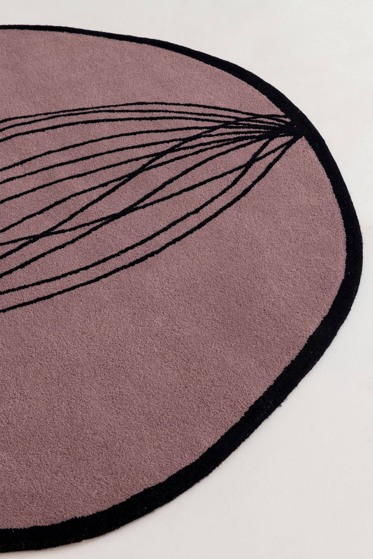 Coleção Folhas – Palmeira